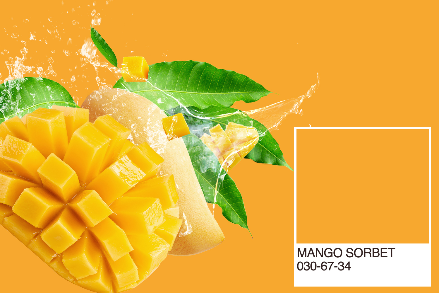 Pantone Mango Sorbet