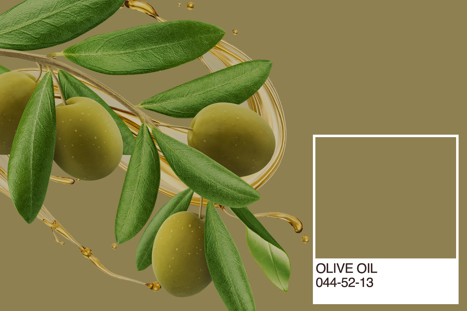 Pantone Olive Oil
