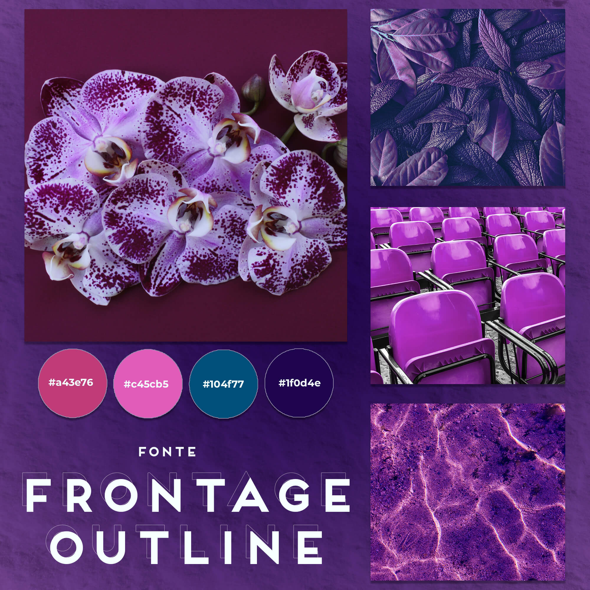 Paleta de cores violeta para designer gráfico 